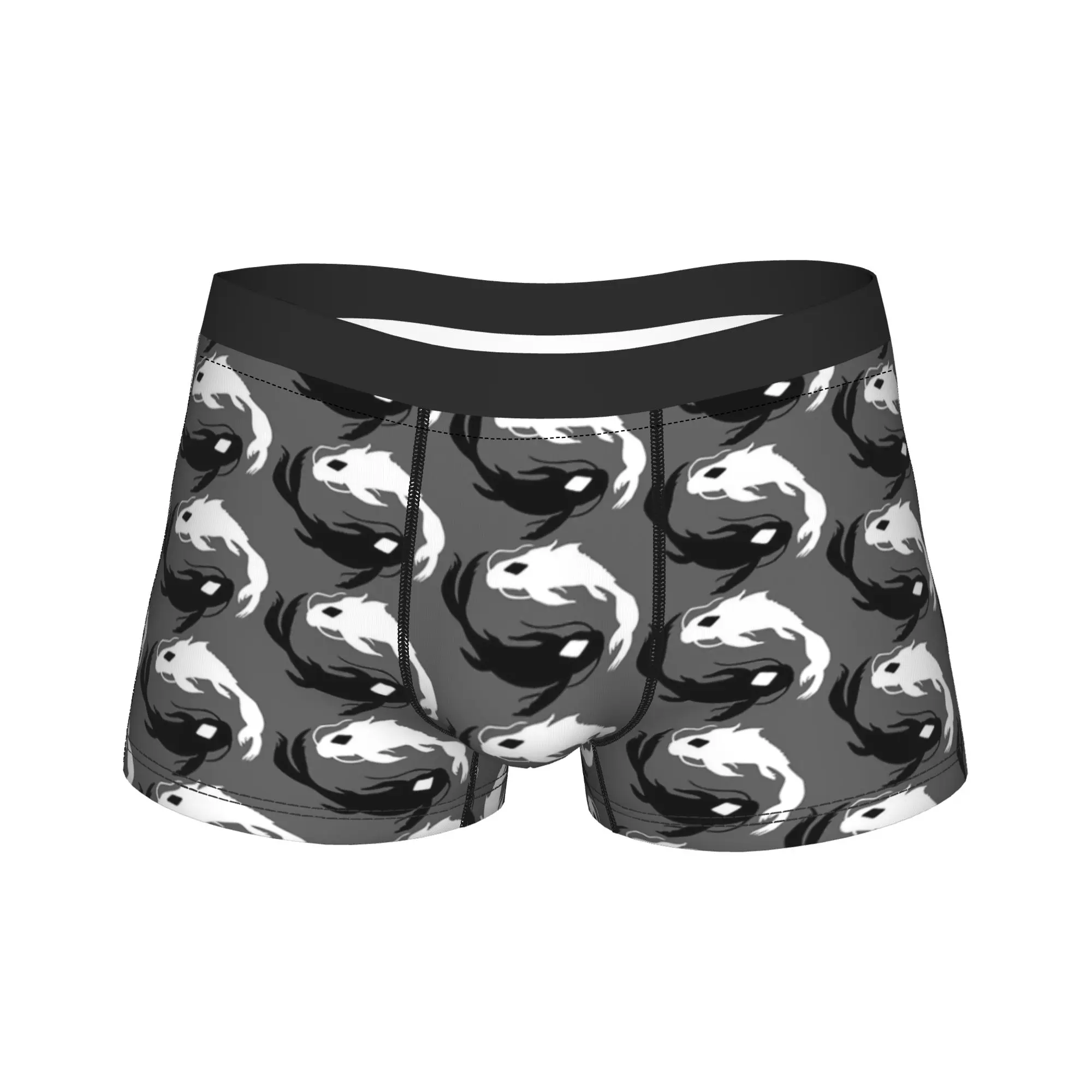 Avatars The Last Airbender Underwear  Man Shorts Briefs Novelty Boxershorts Trenky Printing Oversize Panties