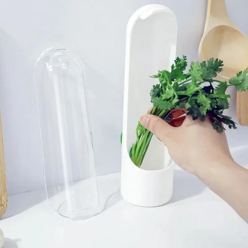 Refrigerator Herb Crisper Vegetables Fresh Preservation Bottle Household Saver Storage Container For Storing Kitchen Supplies