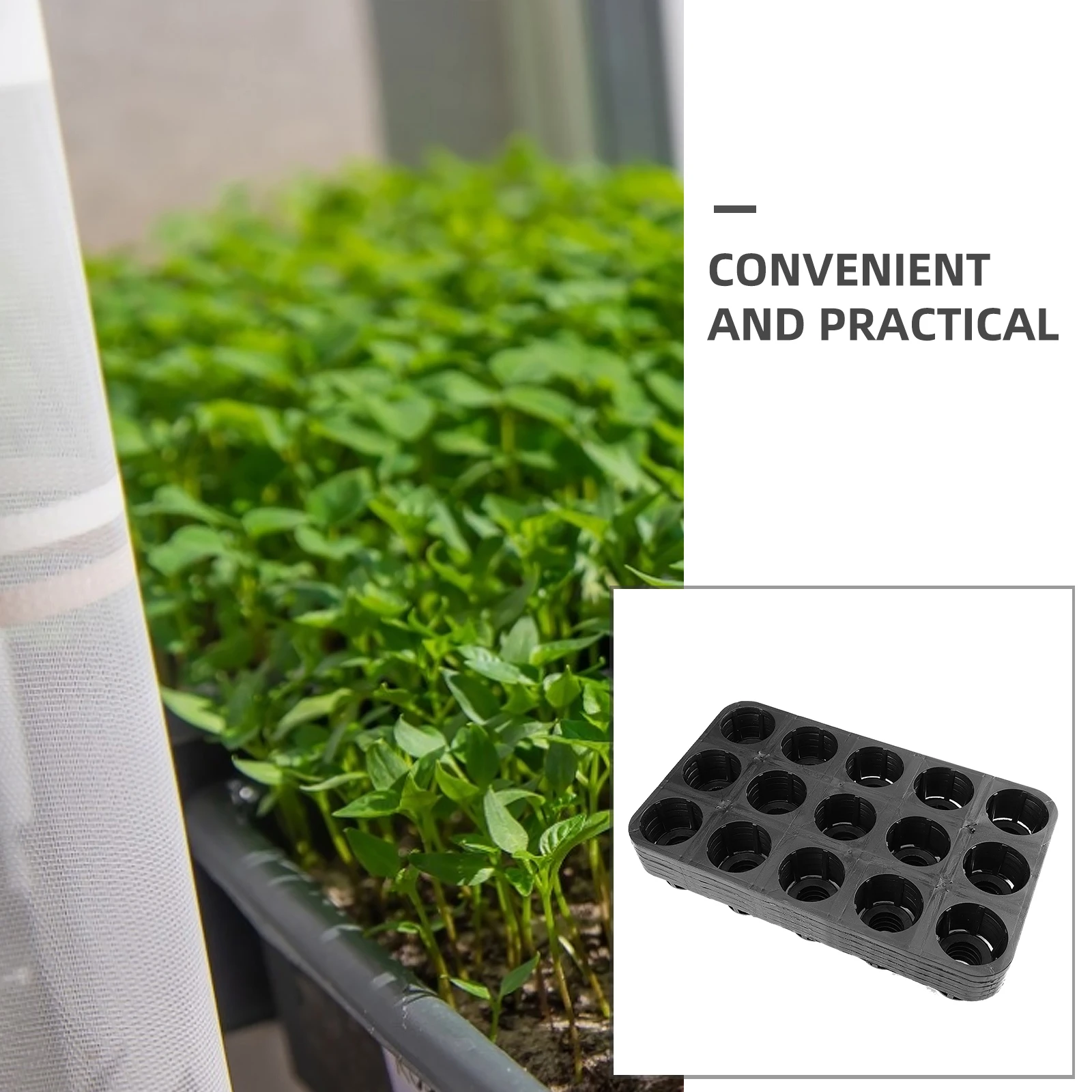 

5 Pcs 15 Hole Phalaenopsis Trays Plant Growing Germination Plates Lightweight Durable Easy Storage Suitable Flowers Vegetables
