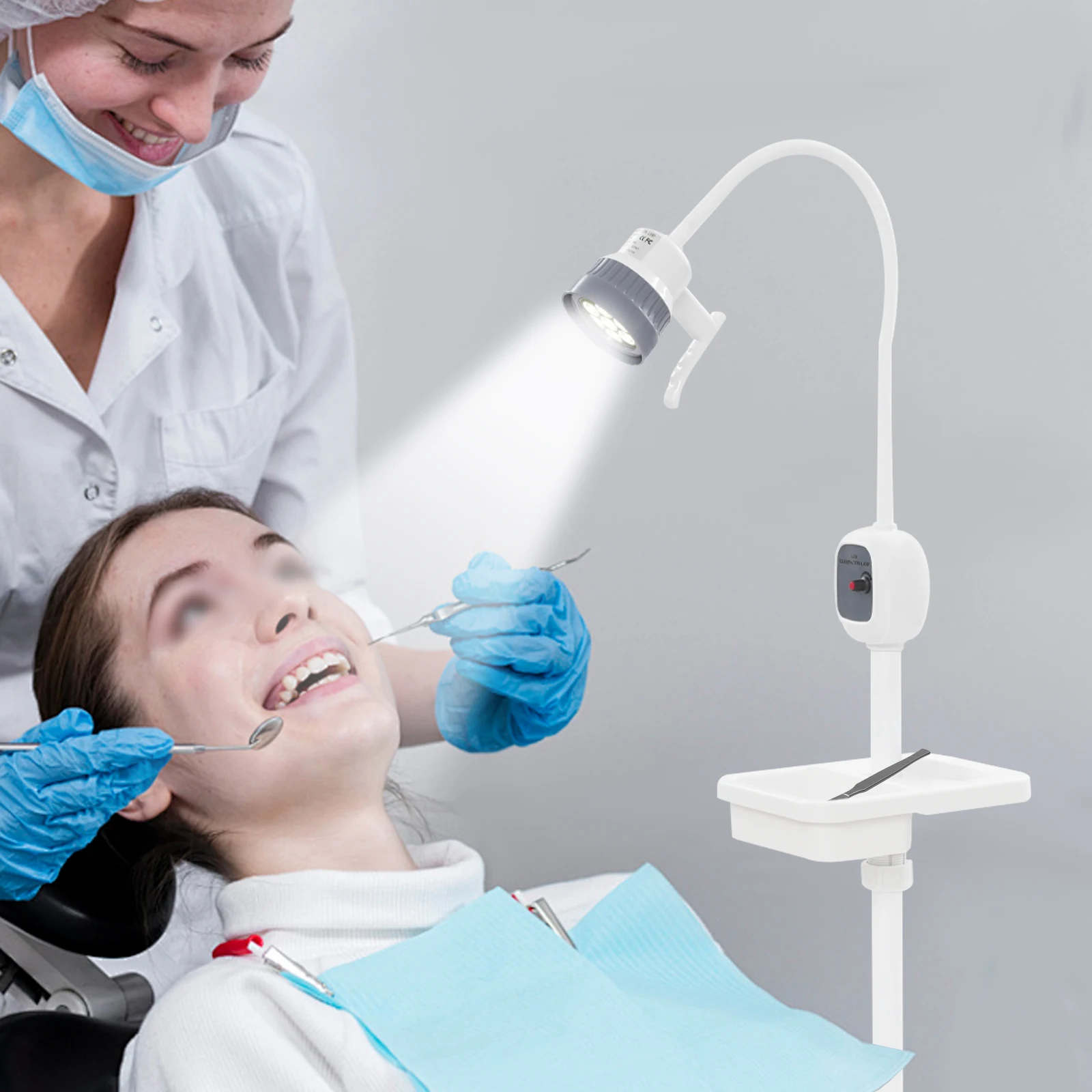 LED Examination Lamp 12W Dimmable Medical Light with 360° Flexible Arm 5 Casters for Surgery Dental Pet Hospital