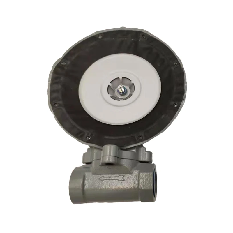 1803B2 منظم الموقد الهوائي الصناعي صمام التحكم في التدفق غاز البترول المسال صمام تخفيض الضغط المتوسط على مرحلتين