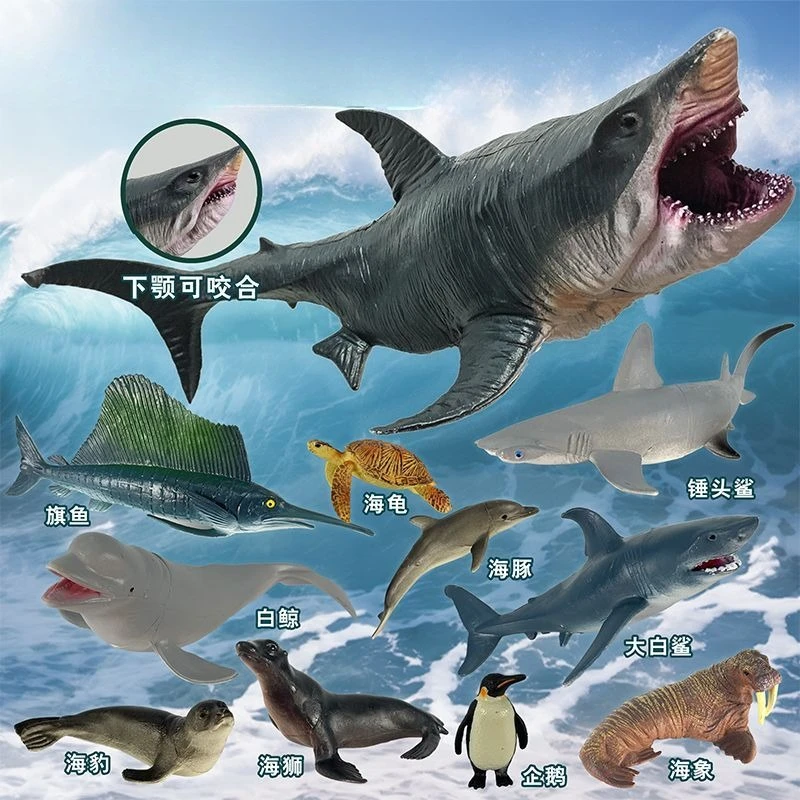 Simulation Marine Meer Leben Wal Figuren Hai Cachalot Action-figuren Ozean Tier Modell Delphin Hammerhai Pädagogisches Spielzeug