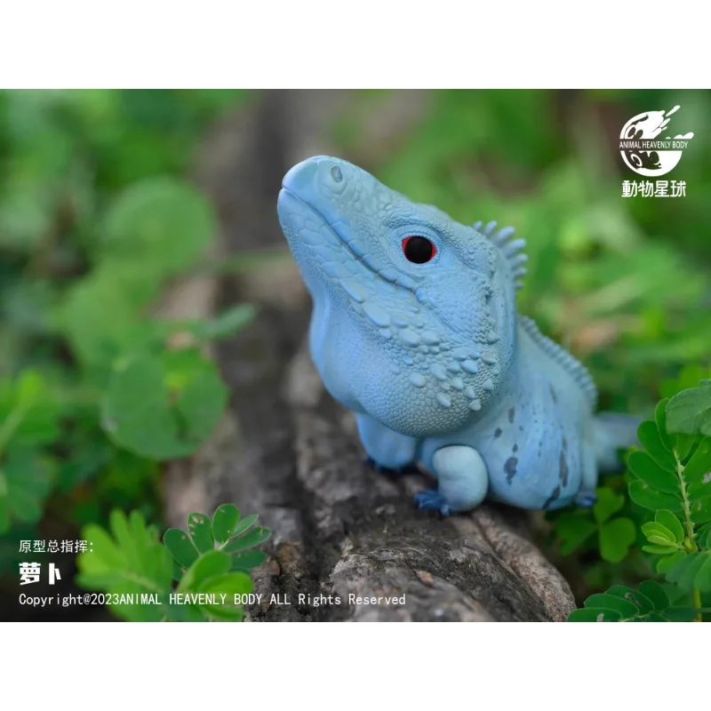 Original Animal Planet A Series Laugh and Grow Fat Lizard Iguana Qversion Anime Action Figure Model Toy Gift Collection Ornament