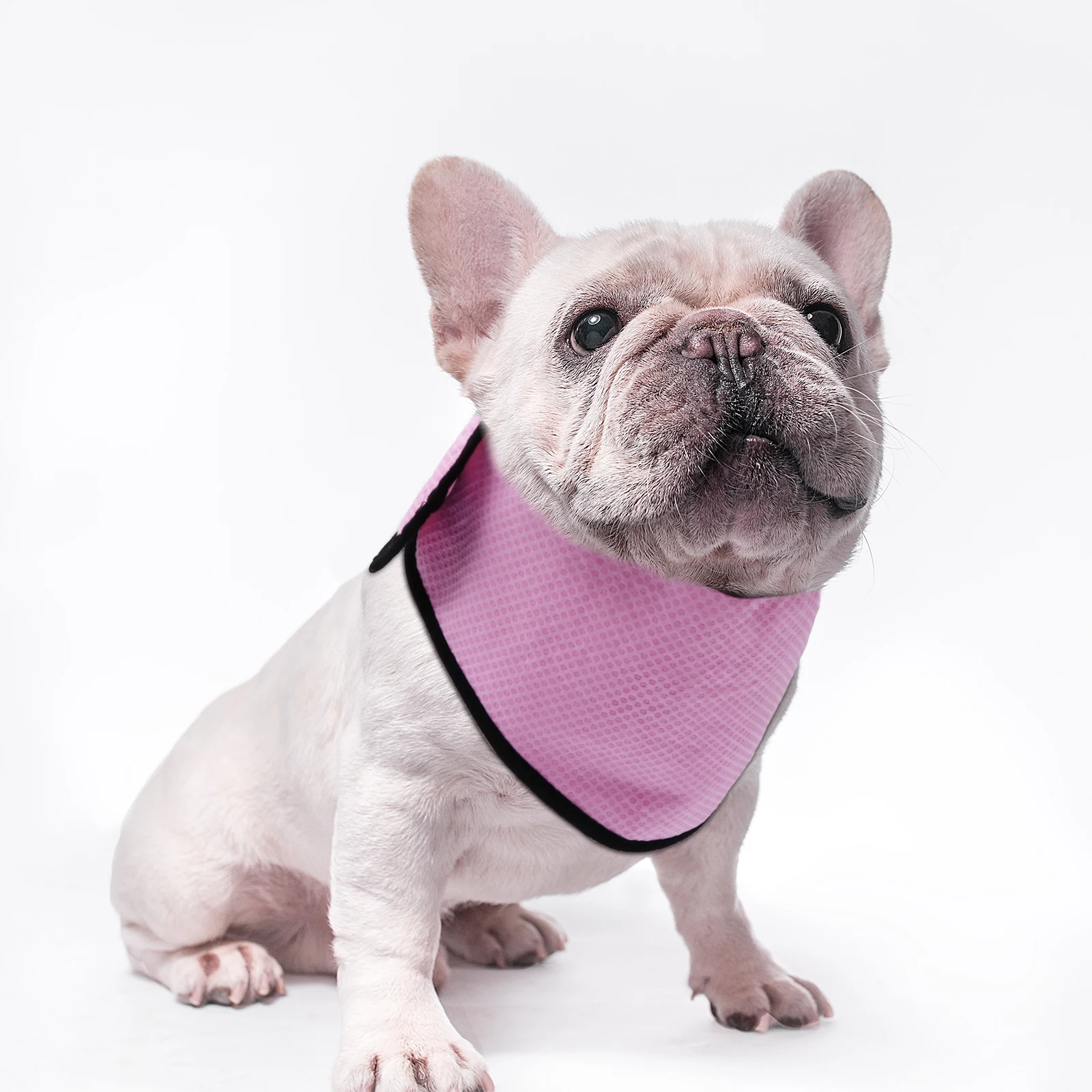 

Pet Cool Scarf Dog Cooling Neck Wrap Ice Towel for Dogs Pva Clothes Summer Accessories Scarves