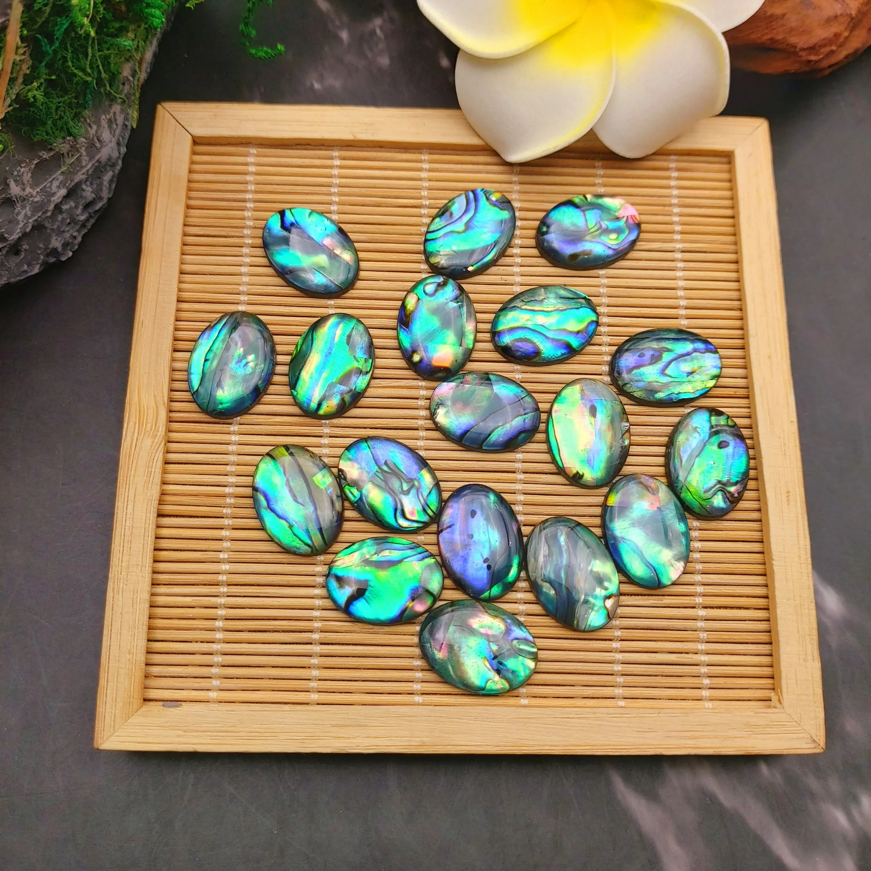 10pcs 8x13mm Abalone Shell Cabs for Rings DIY Making Bright Polish Paua Loose Beads Jewelry