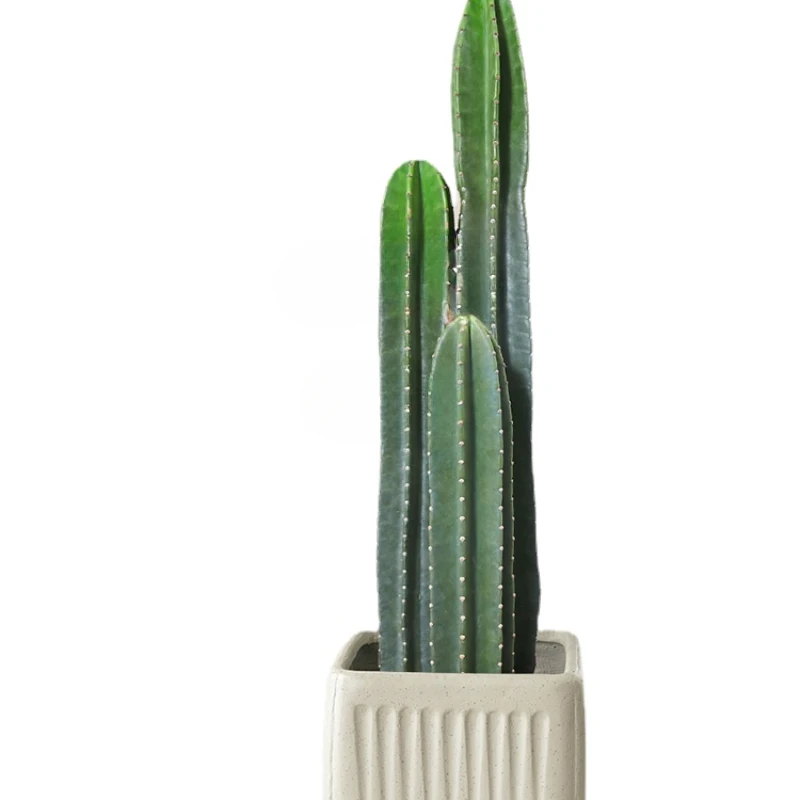 

Indoor Potted Plant Living Room Large Green Plant Nordic Office Cactus Succulent