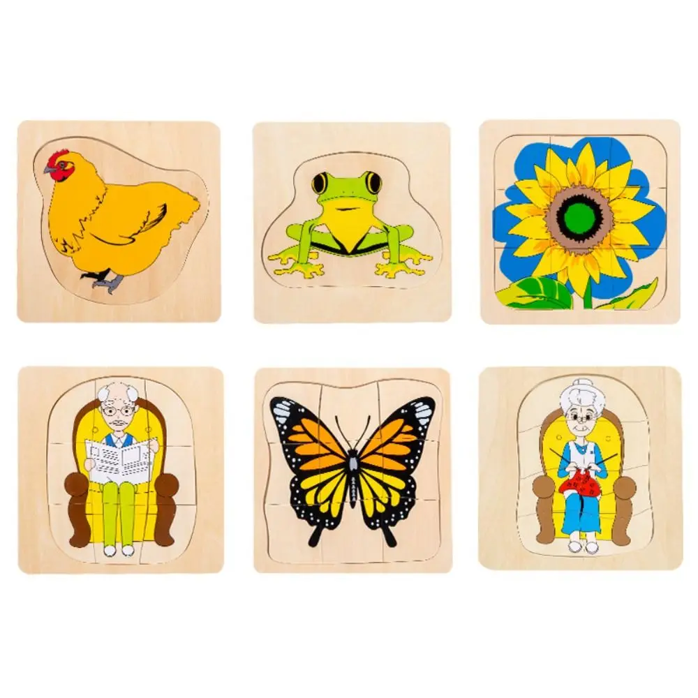 Matching Toys Life Cycle 3D Puzzle Montessori Cognitive Multi-Layer Jigsaw Interactive Animal Plant Life