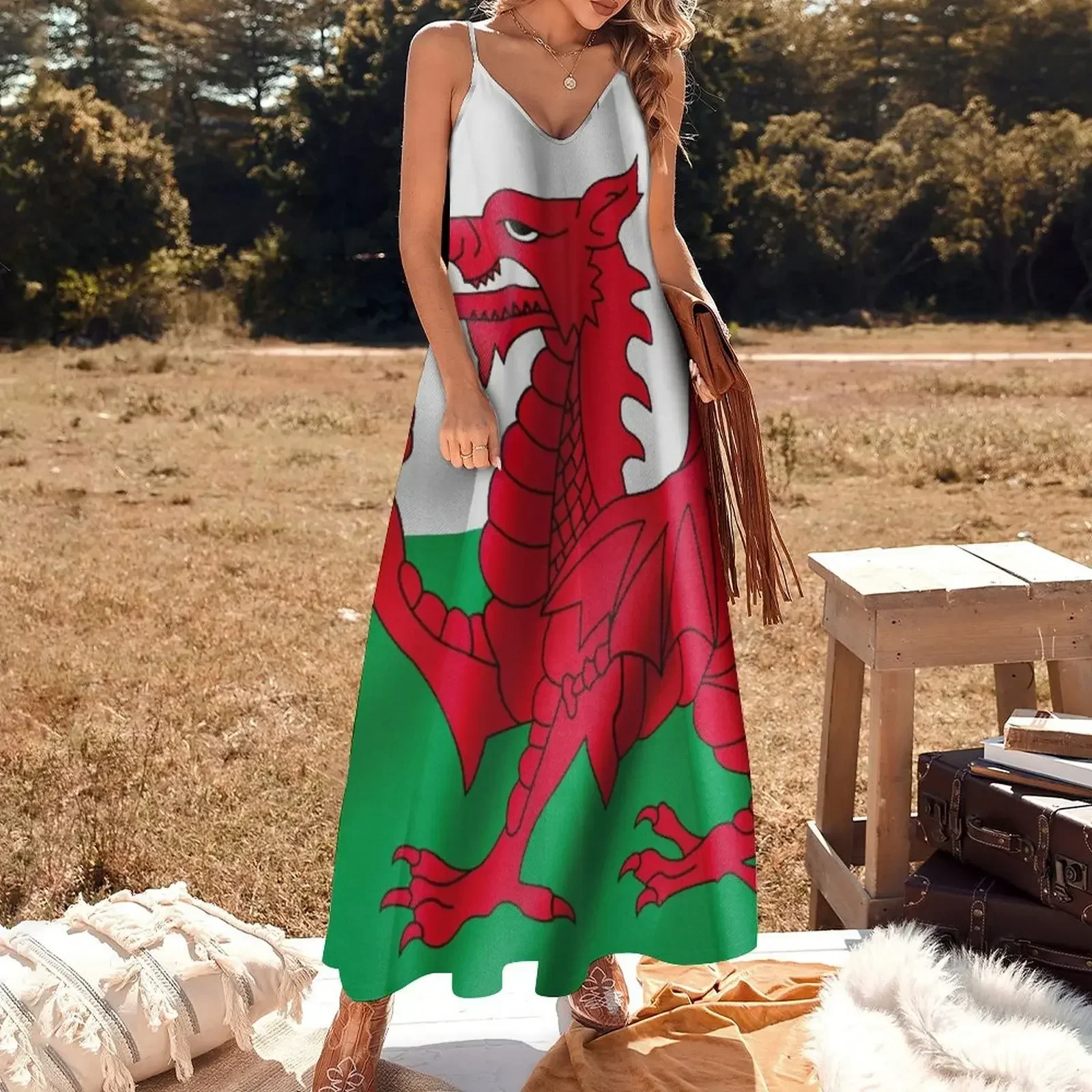 Wales Flag Sleeveless Dress women clothing 2025 new arrivals beach dresses birthday dresses for women Aesthetic clothing Dress