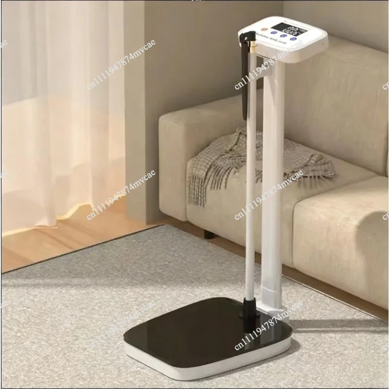 Smart body scale connection APP stadiometer height measuring stadiometer digital height and weight  scale