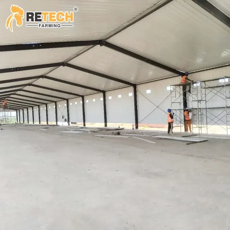 Best Price Poultry Raising Machine Chicken Egg Laying Hens Layer Cages for Sale for South Africa Kenya