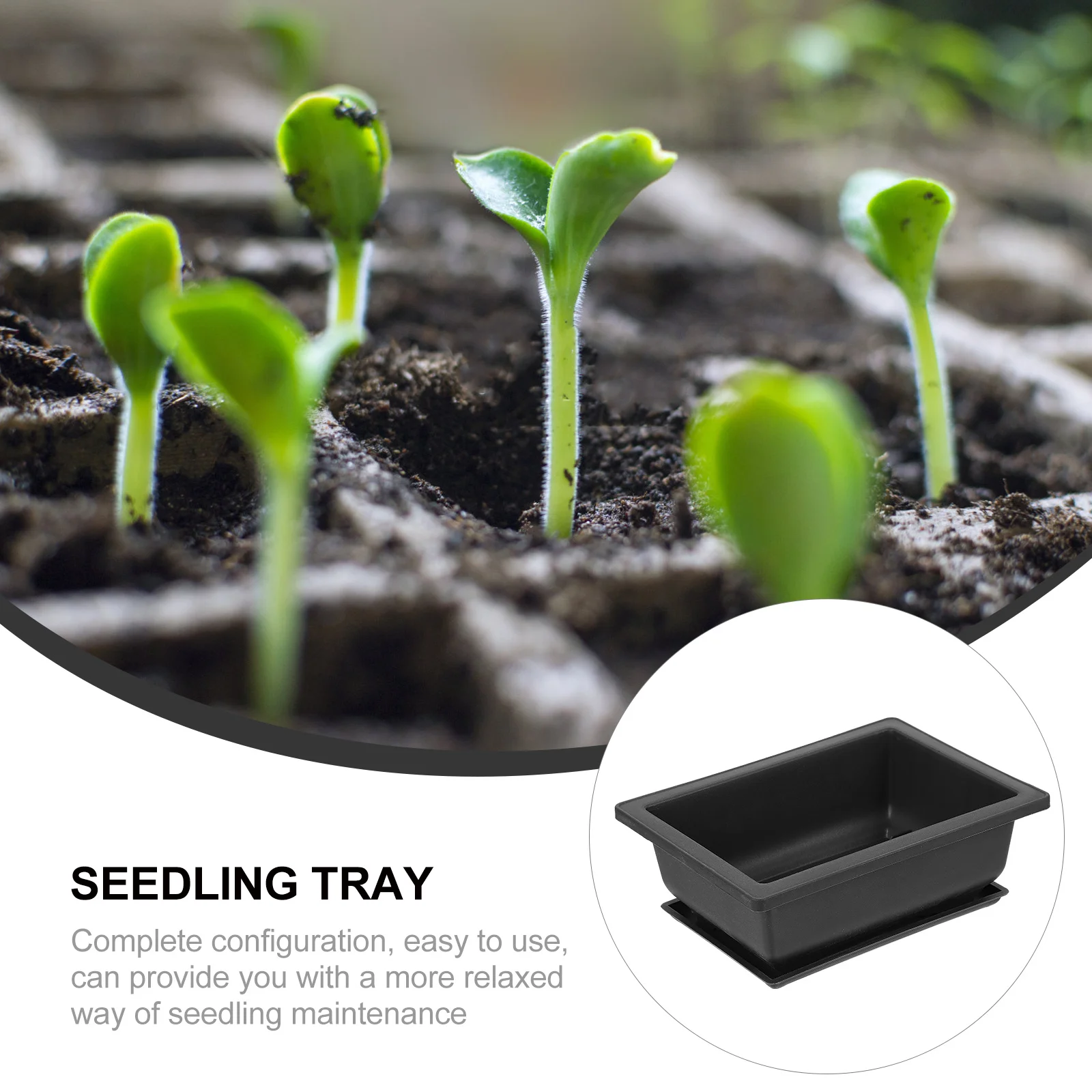 

Plastic Flower Pot Durable Lightweight Planter Indoor Outdoor Succulent Flowerpot Garden Pot with Drainage Tray