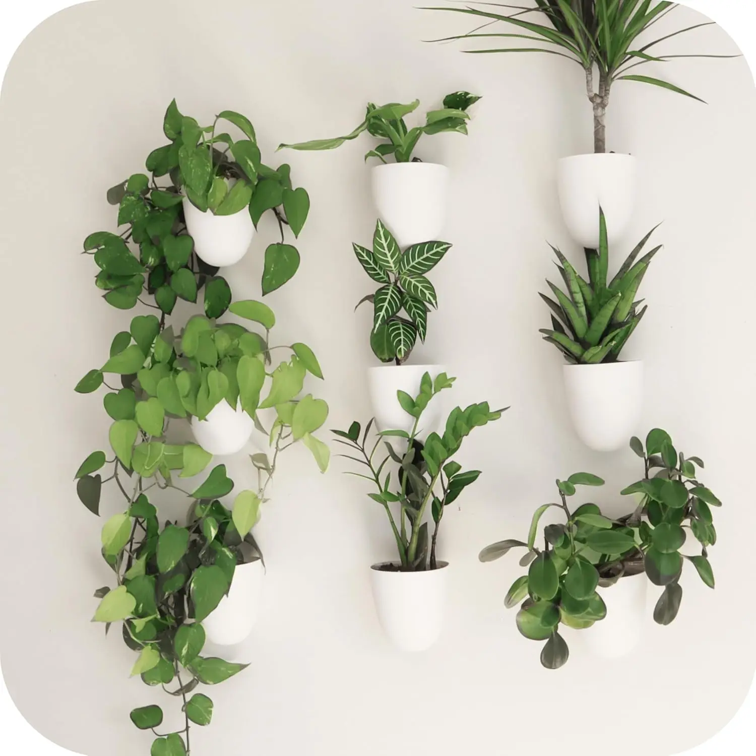 

Самополивающиеся настенные кашпо - Легко поливать и устанавливать - Легкие в весе - Создайте свой собственный вертикальный сад