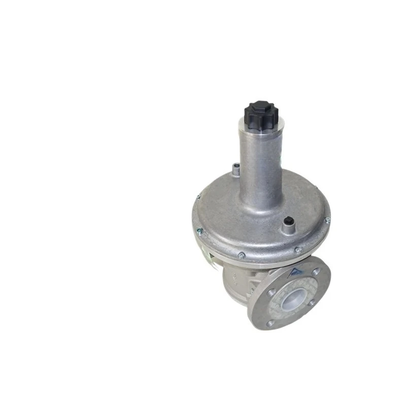 Pressure reducing valve F40F40-3 Pressure regulating valve Heating burner Burner