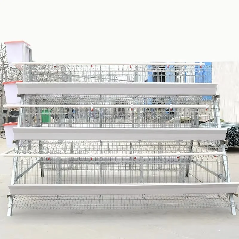 Laying Egg Cage Commercial Poultry Breeding Equipment Automated Egg Cage