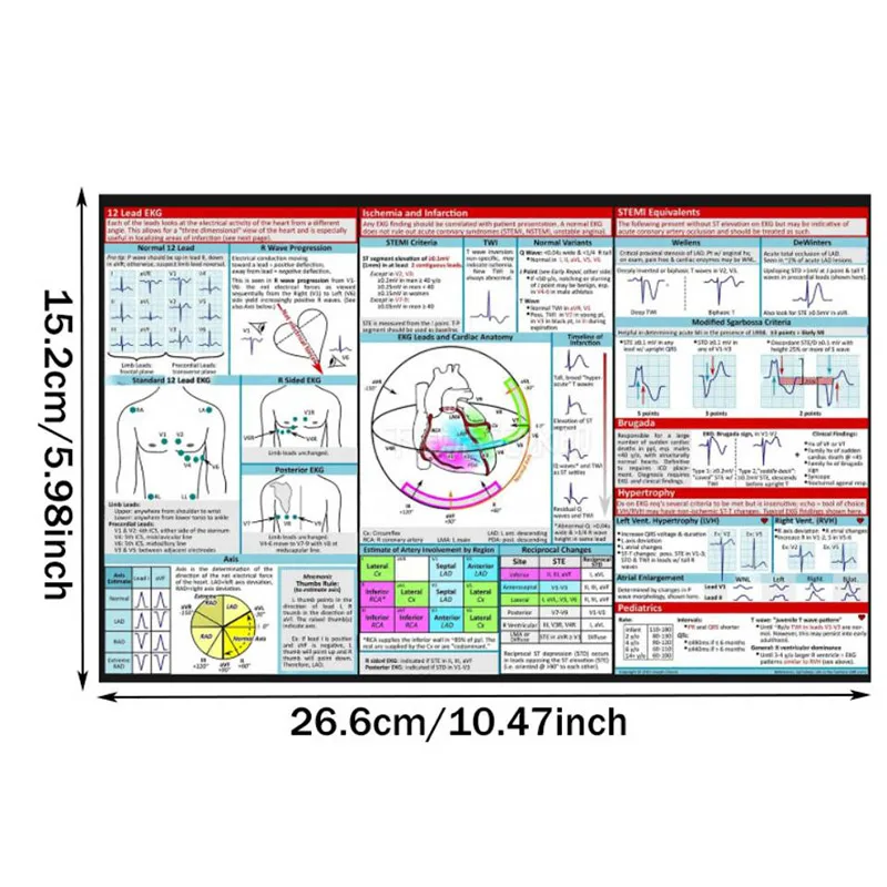 EKG إيقاع دليل الجيب خريطة جيب مخطط كهربية القلب الذاتي قياس البيض موصلات قياس الدقة أداة منزلية #6