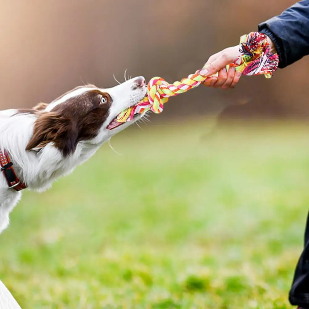 Pet Dog Puppy Cotton Chew Knot Toy Interactive Dogs Chew Toy Bite-resistant Cotton Rope Dog Training Toy Pet Supplies