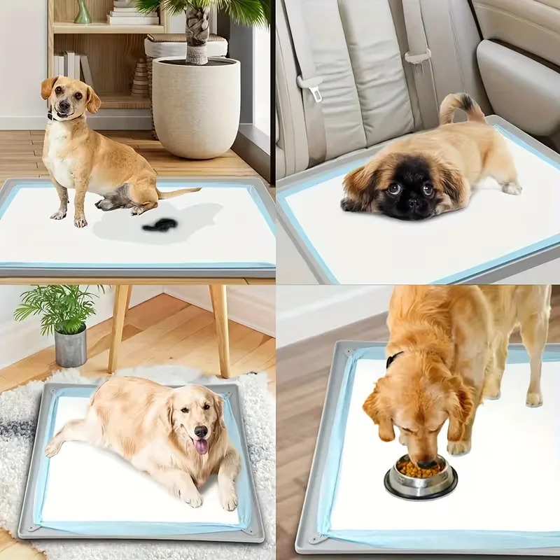 Thumbnail 3 - #18 Trending Pet Agility Equipment Right Now