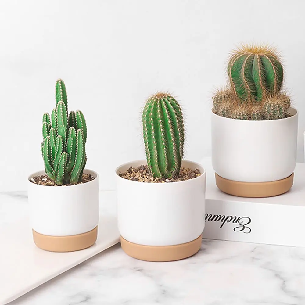 

INS Style Automatic Water Absorption Table Decor Double-layer Garden Supplies Flower Planter Succulent Planter Pot Flowerpot