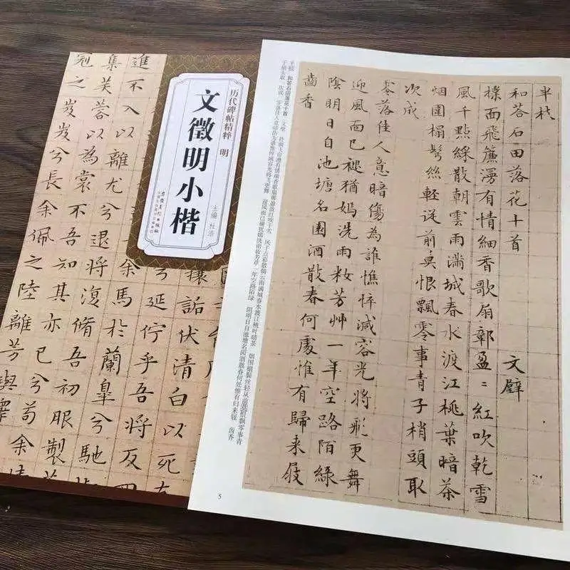 Chinese Copybook Wen Zhengming Small Regular Script Calligraphy Copybook Stone Inscription Rubbing Copybook Calligraphy Learning