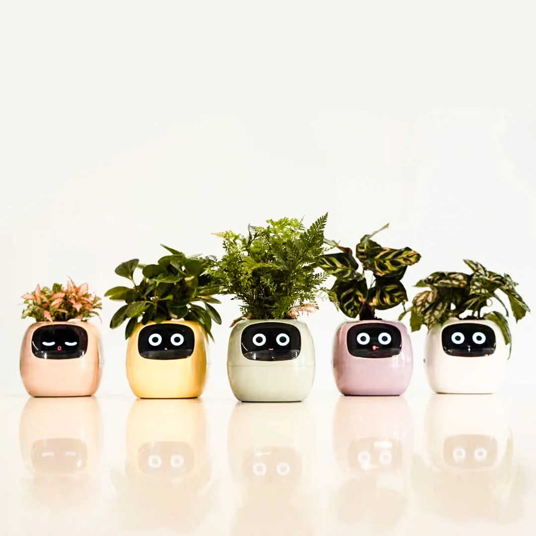 

Smart Flowerpots, Endless Fun