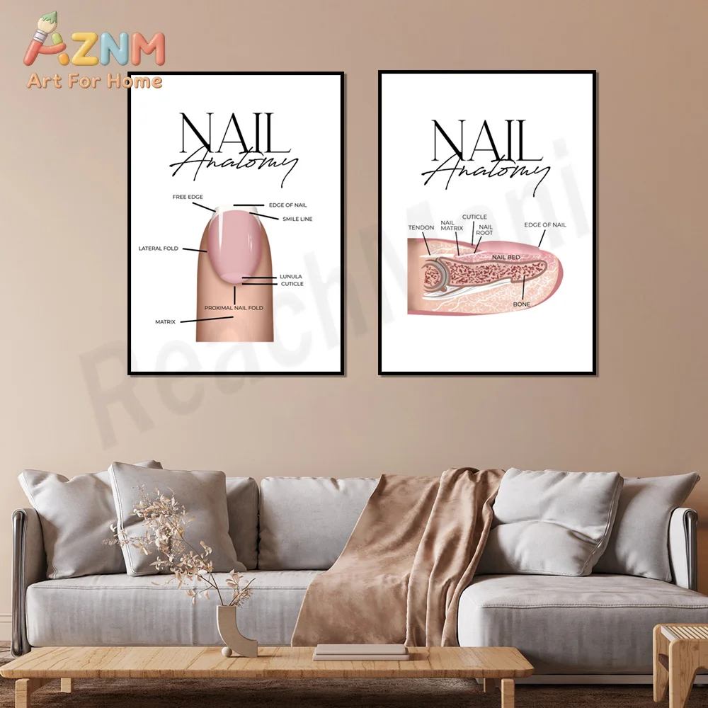 Nail anatomy, nail interior printing, salon art, manicurist wall decoration poster
