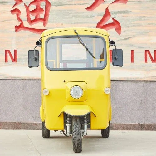 Sandi Three Wheeled Electric Tricycle for Passenger