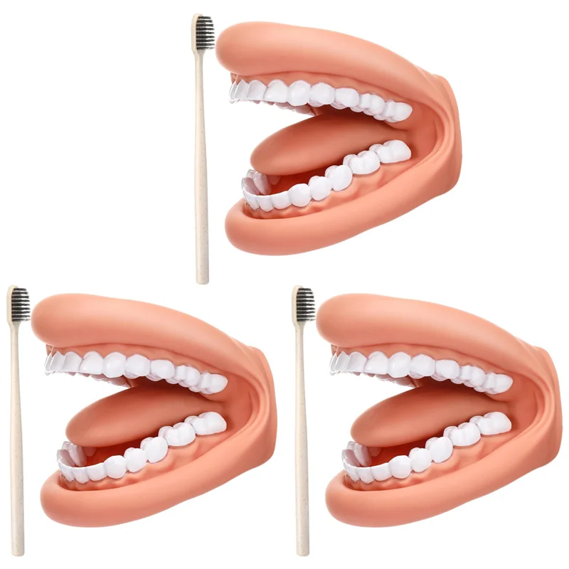 

3Pcs Mouth Puppet With Tongue Teeth Mouth Hand Puppet Mouth Model With Toothbrush For Boy Girl Educational Tool
