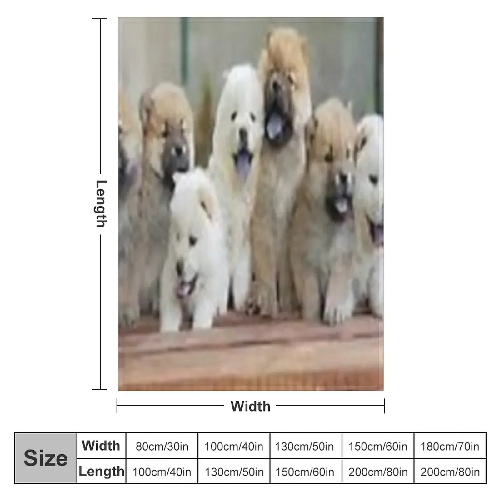 chow chow puppies Throw Blanket halloween Decorative Throw Custom Winter beds Blankets