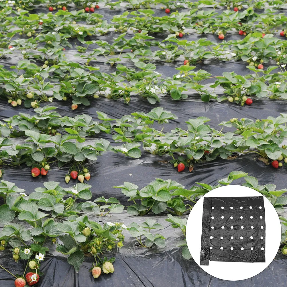 

2Pcs Black Pe Agricultural Thermal Insulation Perforated Mulching Film Plastic Crop Cover Soil Moisture Retention Farming