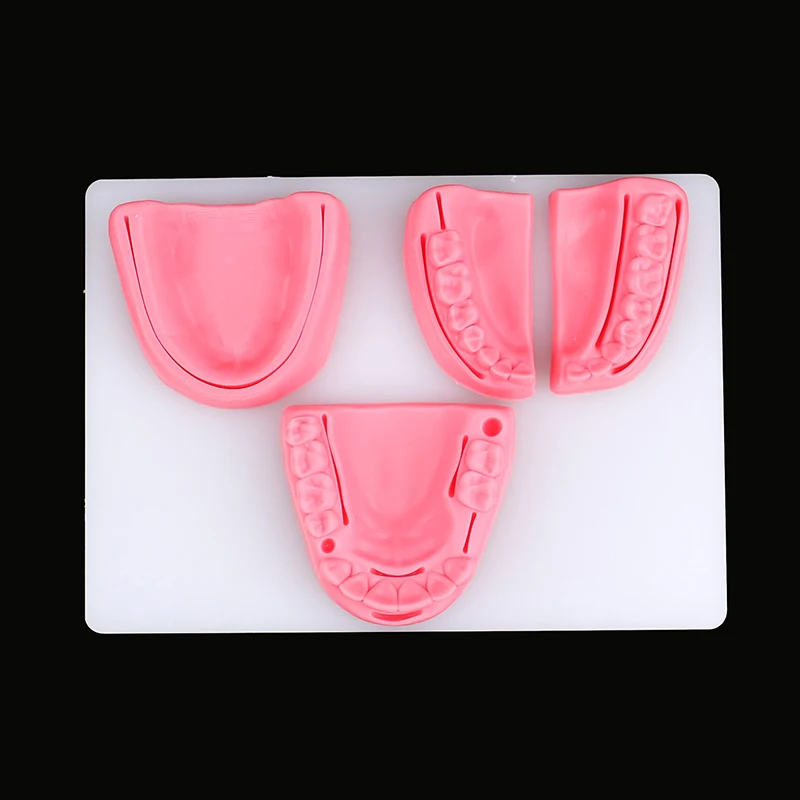 4-teiliges Dental-Simulationsmodell für Mundnaht, Zahnfleisch-Naht-Trainingsausrüstung – Detail 10