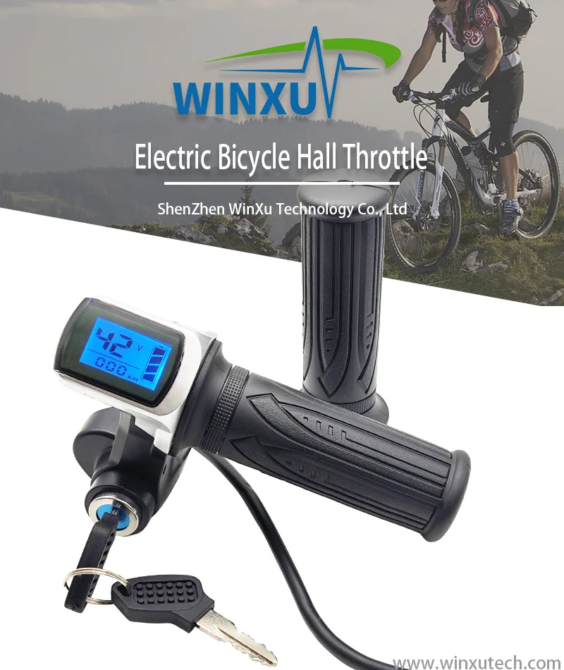 24V 36V 48V LCD Geschwindigkeitsanzeige Gasdrehbeschleuniger für Elektrofahrrad E-Bike Roller Motorrad – Detail 2