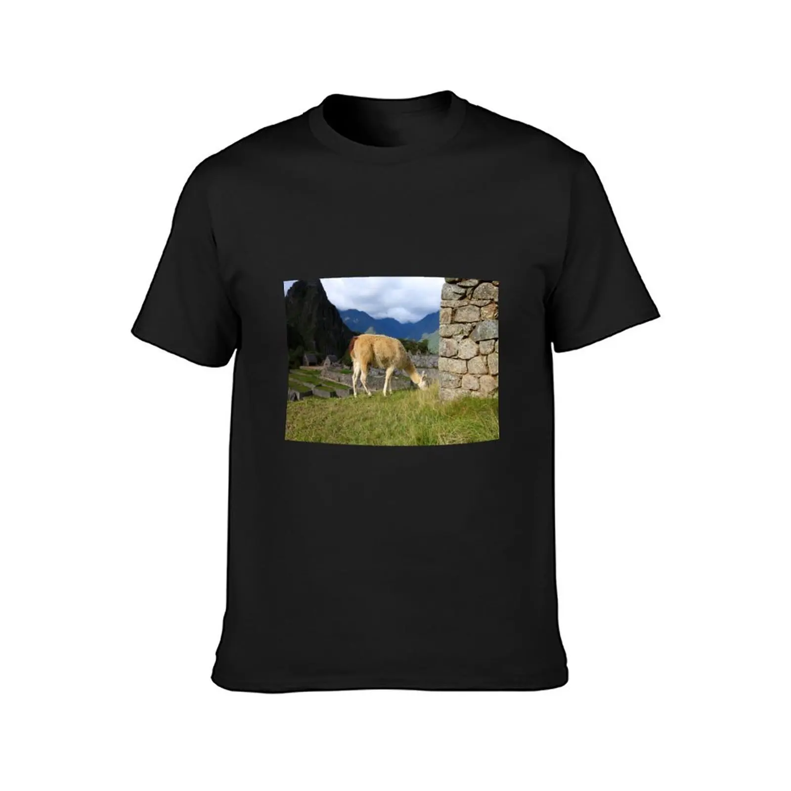 Lama At Machu Picchu, Peru T-Shirt sublime new edition customs design your own mens t shirt graphic