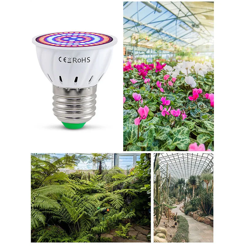 ABKO-Led نمو النبات مصباح حبيبات مصباح مستديرة متفاوتة الأحجام الطيف الكامل نمو النباتات مصباح ، لزهرة المائية البذور النباتات العضوية 8 قطعة