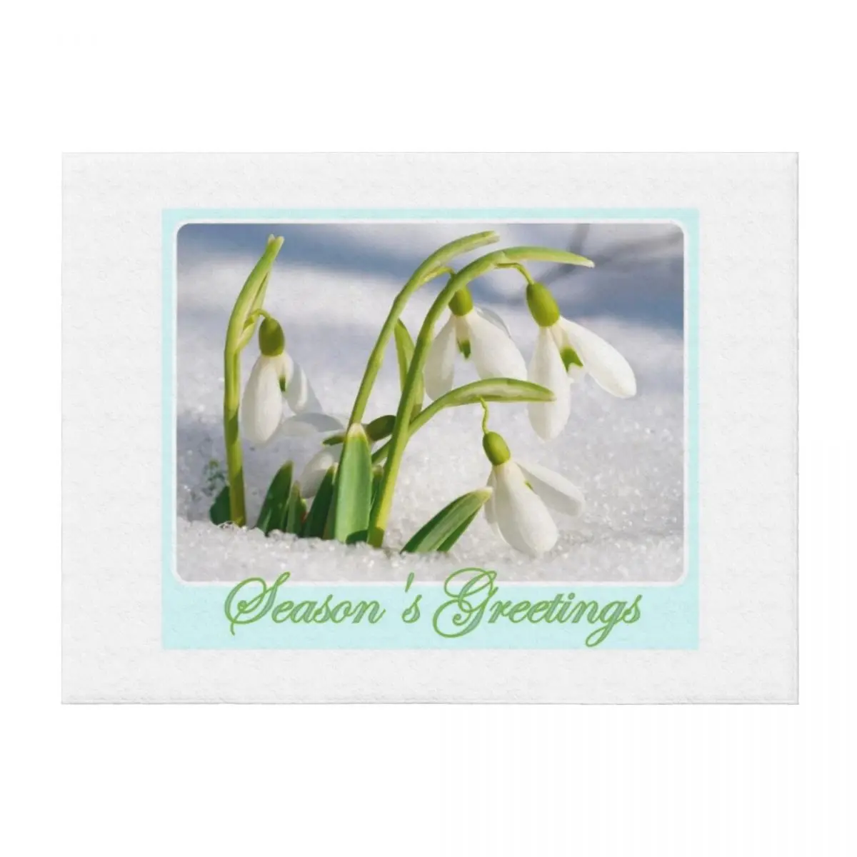 

Snowdrops Seasons Greetings Throw Blanket Bed Fashionable Decorative Sofas Soft Big Giant Sofa Blankets