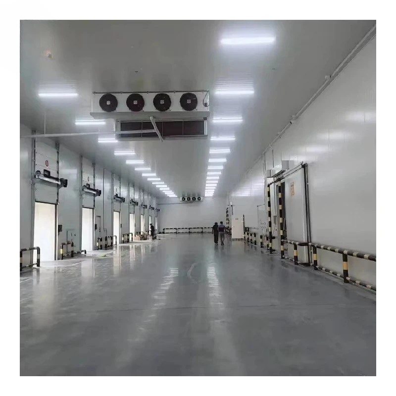 Cold Room Chambre Froide Walk in Freezer with Door Panels Energy Saving Cold Storage Room for Food Preservation