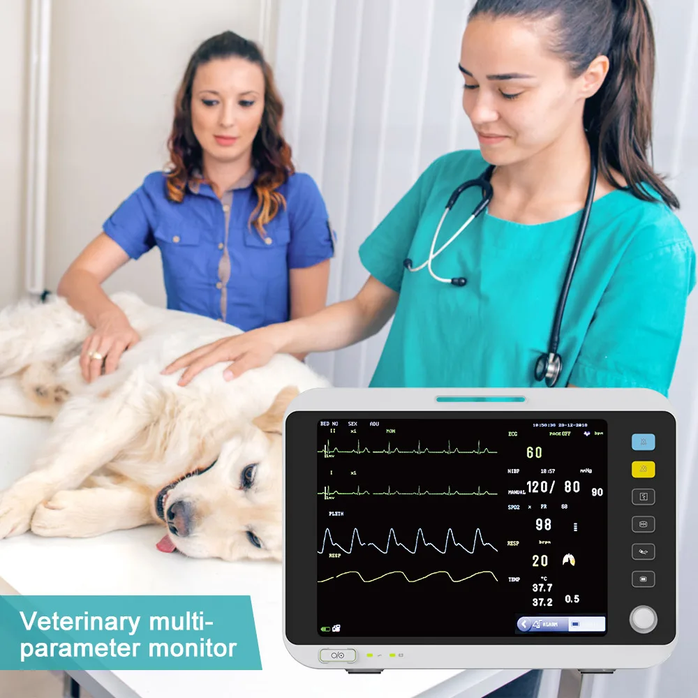 12.1 Inches Multilingual Portable Pet Veterinary Multi-parameter Health    With Nibp Etco2 Function