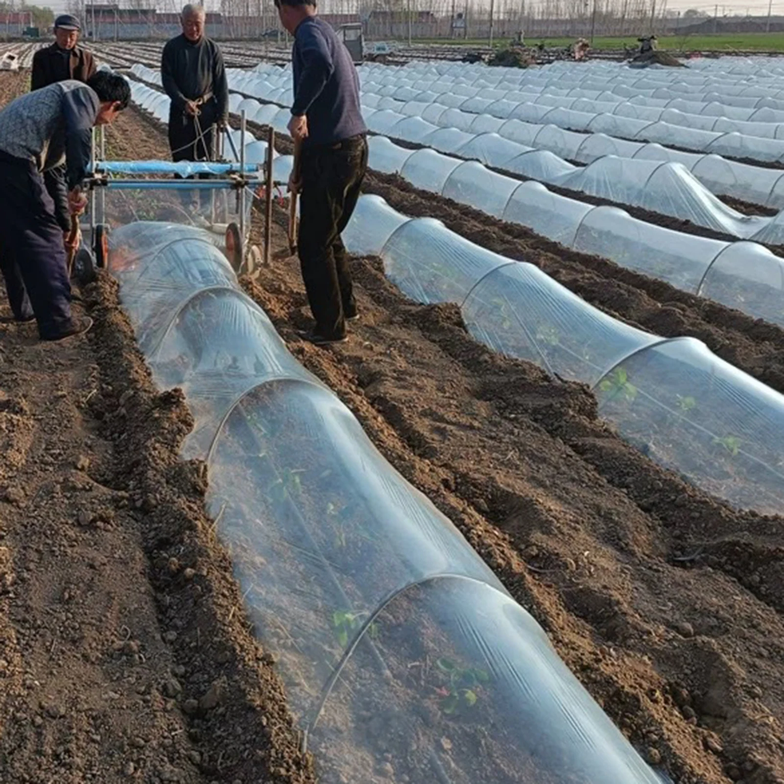 

Agricultural Frost Protection Thick Plastic Film For Vegetables Transparent Thermal Insulation Frost