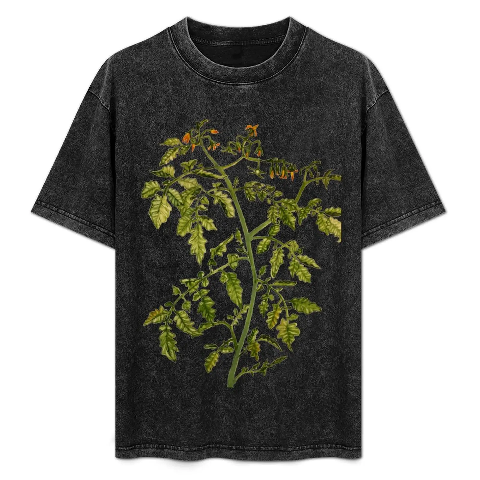 Camiseta con estampado de planta de tomate (Solanum lycopersicum), camiseta con estampado de estilo moderno