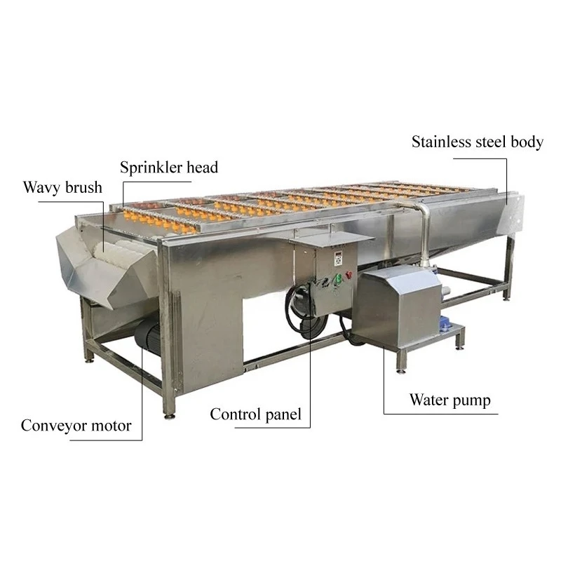 Commercial Navel Orange Washing Machine Parallel Hair Roller High Pressure Spray Washing Machine Sea Oyster Cleaning Machine