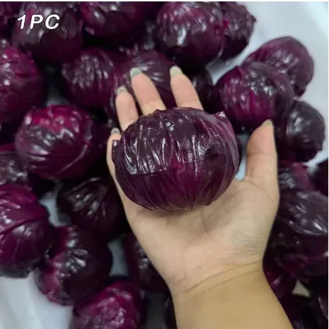 Handmade Crispy Green Cabbage Bok Choy Stress Ball Squeeze Toy Squishy Fidget Ball Round Blocks Asmr Sensory Stress Relief Toy