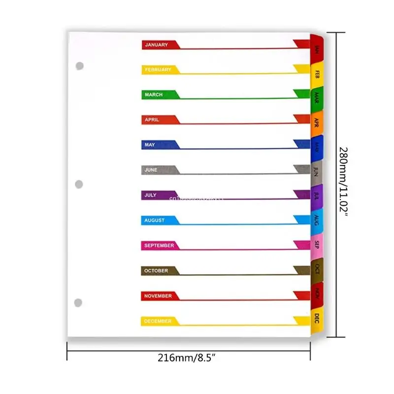 Tab Binder Index Dividers Practical Divider Tabs Multi-punched Reinforced Board for Home Office School Dropship