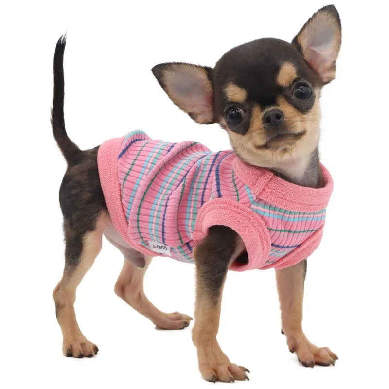 Chaleco de verano para perros, ropa para gatos y cachorros, Yorkshire Terrier, Pomerania Shih Tzu, Bichón maltés, caniche, Schnauzer, ropa para perros, camiseta rosa