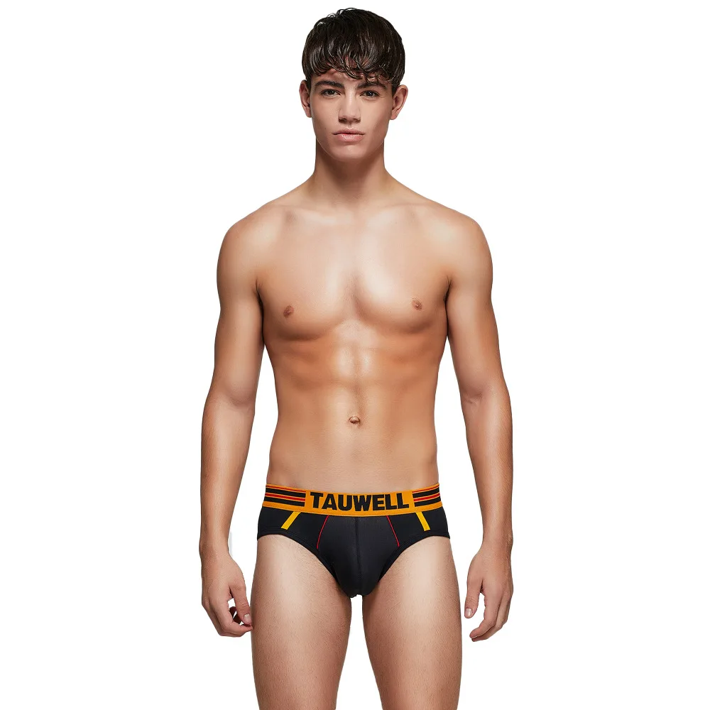 Cotton Bulge Briefs for Men Sexy Low Rise U Convex Pouch Underwear Breathable Sweat Absorption Sports Underpants Male Daily Wear