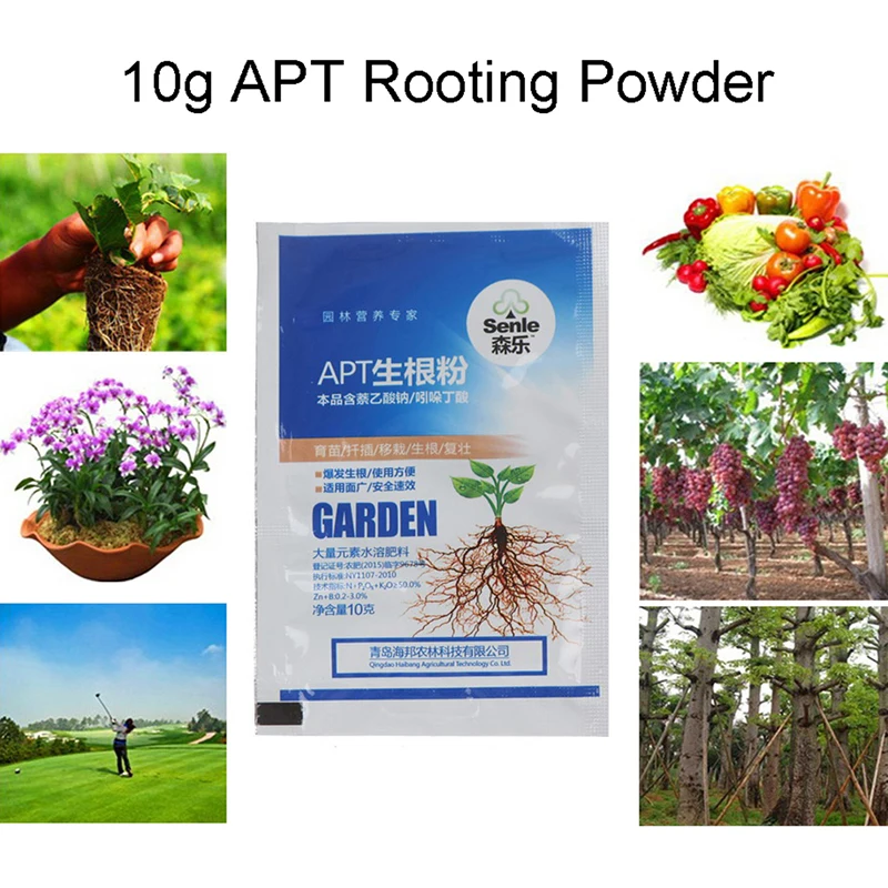 

20g IBA Bonsai Root Growth Hormone Plant Growth Regulator Fertilizer for Medicinal Ornamental Plants