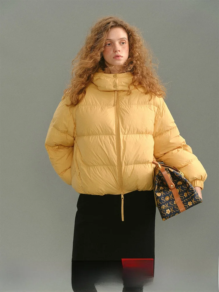 

Женская свободная теплая куртка-пуховик с отстегивающимся капюшоном, однотонная, для повседневной носки, в модном стиле