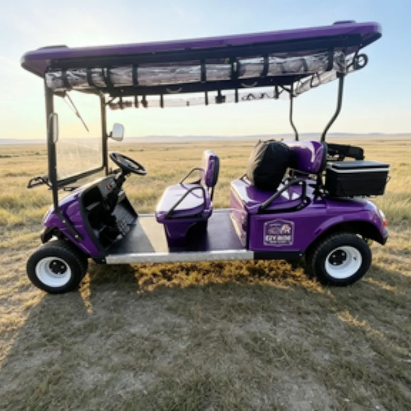 Buy Factory Made Golf Cart Maintenance Free Battery China Electric Golf Cart With Golf Bag Rack And Basket Sand Box Rain Cover