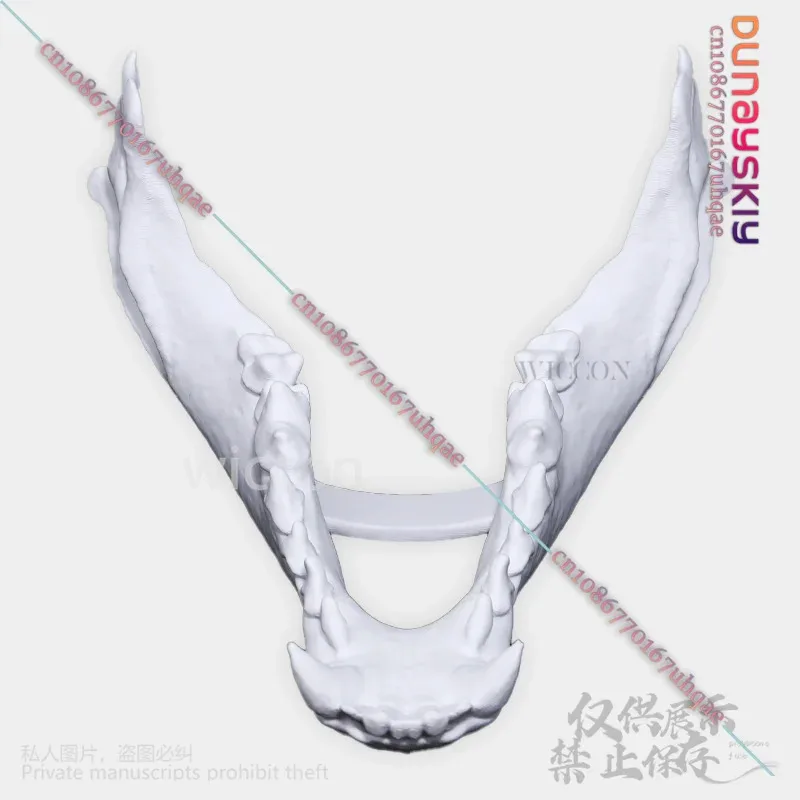 25COSAnimal Furry Cosplay Dog Skull Kigurumi Props Polylactic Acid Mask 3D Print Head Fursuit Halloween Christmas Party Customiz