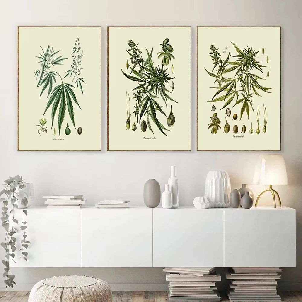 Vintage Medicinal Plant Art Posters  Frameless Canvas Prints of Herbs and Wildflowers  Living Room Decor  Gifts