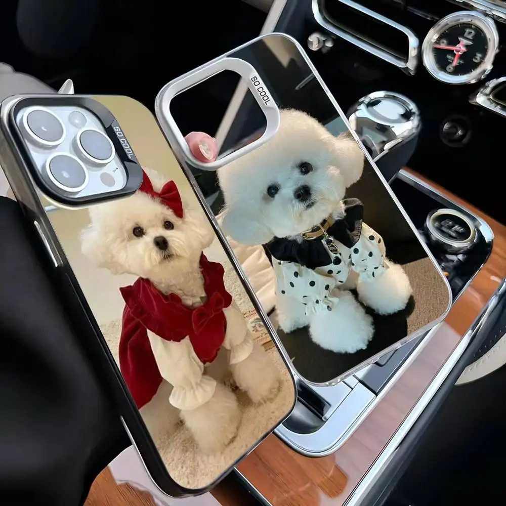 

Playful Bichon Phone Case For iPhone 16,15,14,13,12,11,Mini,Pro,MAX Black Matte Shockproof Cover
