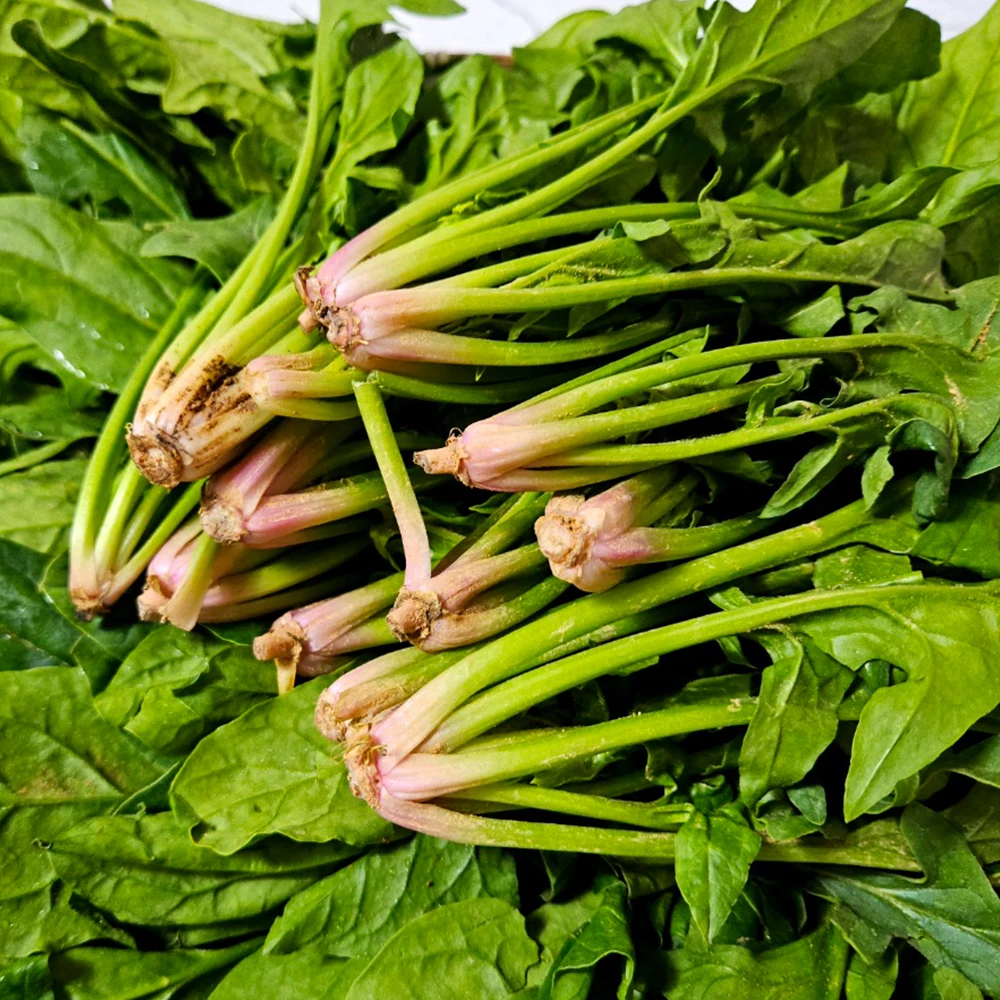 Crujiente y Fresca Namhae Byeolcho Espinaca 500g